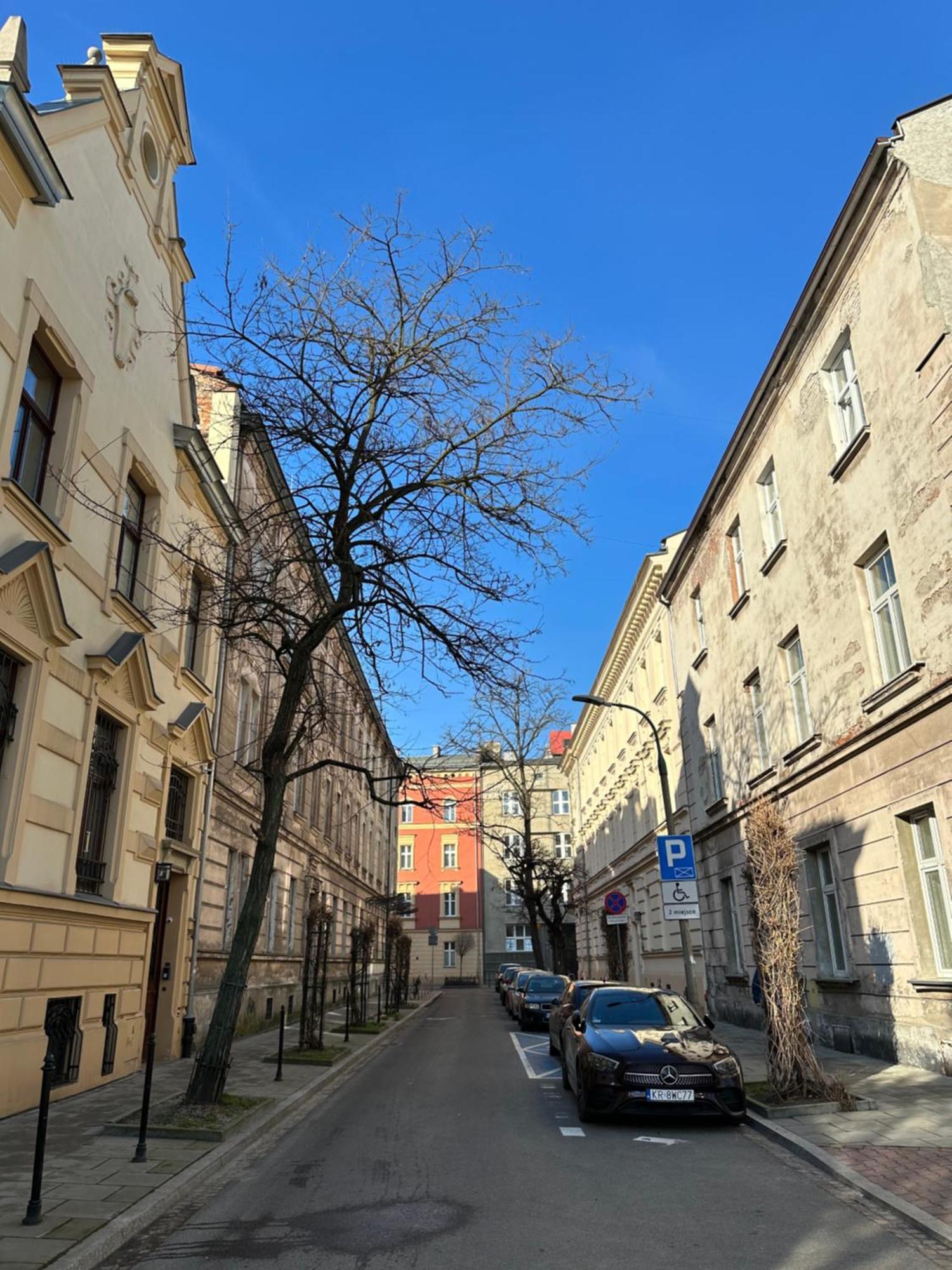 Perfect Place To Stay In Krakow City Center 28M2 W1 エクステリア 写真